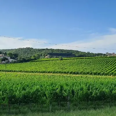 The Green House in Troghi