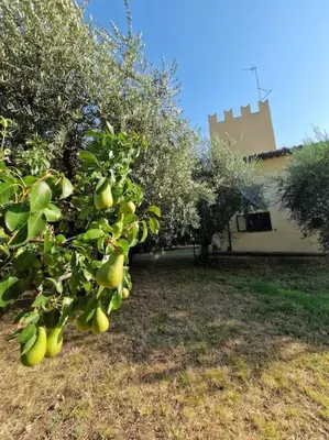 Giardino di Villa Castaldi Firenze vicina al centro