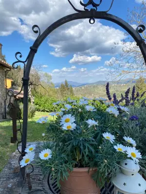 Giardino di Berenice in Chianti - Authentic Tuscan Country House