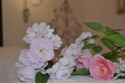 Planimetria di B&B Villa Il Poggiolino