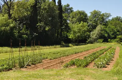Giardino di Visconte Apartment