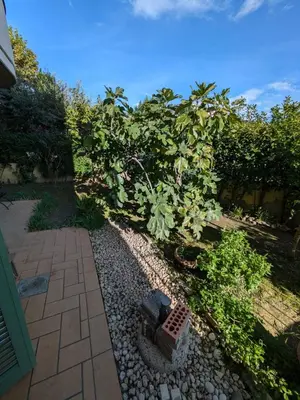 Giardino di Il Fico
