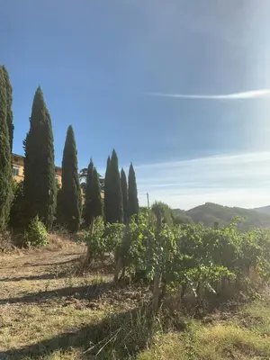 Paesaggio naturale nelle vicinanze della casa vacanze