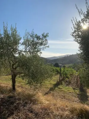 Paesaggio naturale nelle vicinanze della casa vacanze