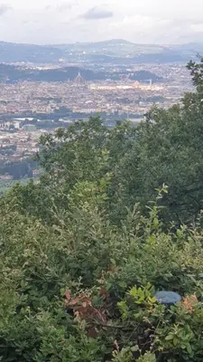 Paesaggio naturale nelle vicinanze dell'appartamento