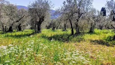 Paesaggio naturale nelle vicinanze dell'agriturismo