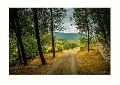 Paesaggio naturale nelle vicinanze della casa vacanze