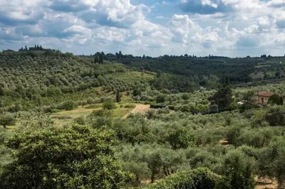 Paesaggio naturale nelle vicinanze della casa vacanze