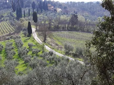 Paesaggio naturale nelle vicinanze del bed & breakfast