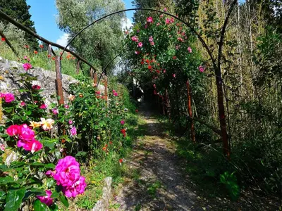 Giardino di Rustic Elegance Near Florence