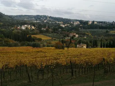Paesaggio naturale nelle vicinanze dell'appartamento