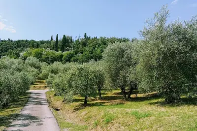 Paesaggio naturale nelle vicinanze della villa