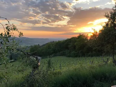 Paesaggio naturale nelle vicinanze dell'hotel