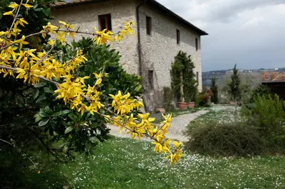 Giardino di Corzano e Paterno