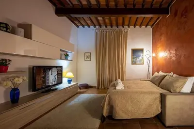 TV o dispositivi per l'intrattenimento presso Santa Rosa Apartment - Oltrarno
