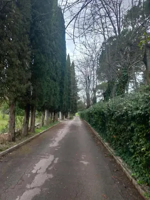 Planimetria di Poggio Gherardo